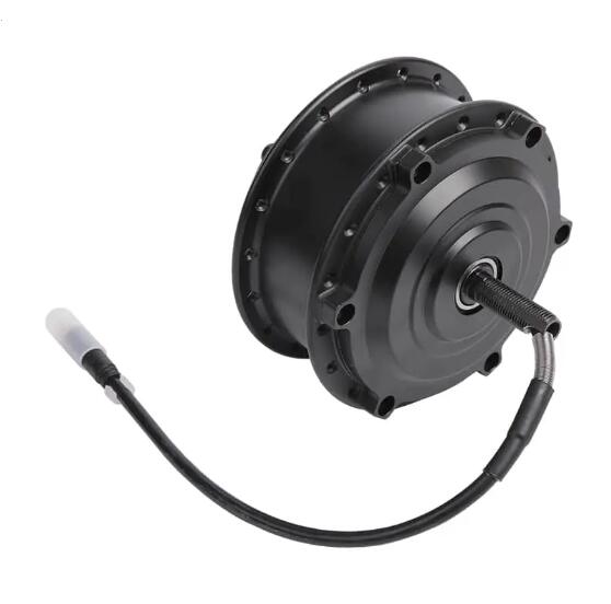 Kada treba održavati ili zamijeniti motor s e-biciklom?